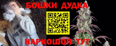стаф Будённовск