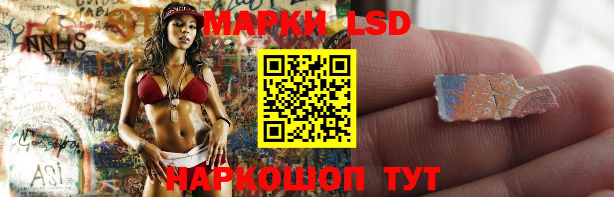 Лсд 25 экстази ecstasy  LSD-25 экстази  Новороссийск  LSD-25 экстази ecstasy  Вход с VPN 