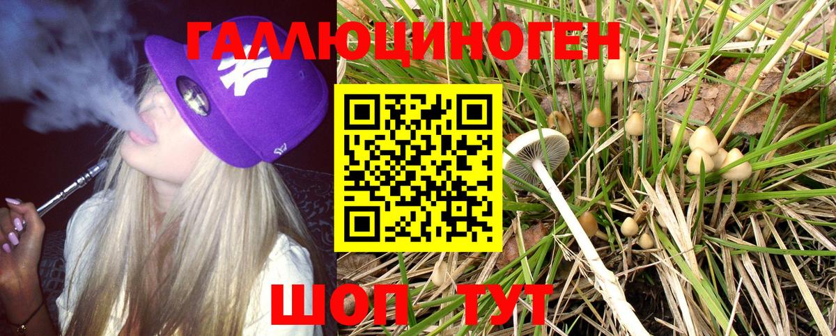 Псилоцибиновые грибы Psilocybe  Вход с VPN  Новороссийск  Галлюциногенные грибы прущие грибы 